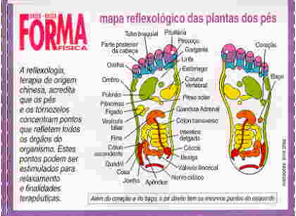 Pie1.jpg (11715 bytes)