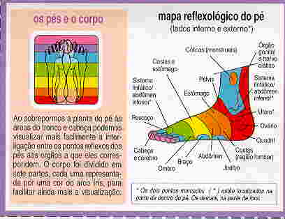 Pie2.jpg (12975 bytes)