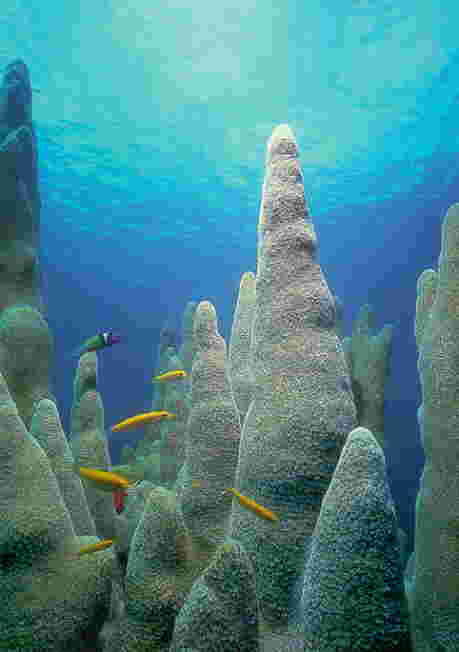 bahia.jpg (12925 bytes)