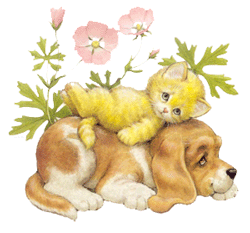 Coraz�n palpitante de amor