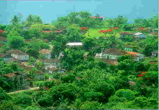 [Misi�n-Comayagua]