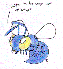 A Rather Introspective Wasp, wouldn't you say?