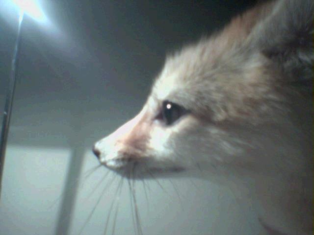 Kilala