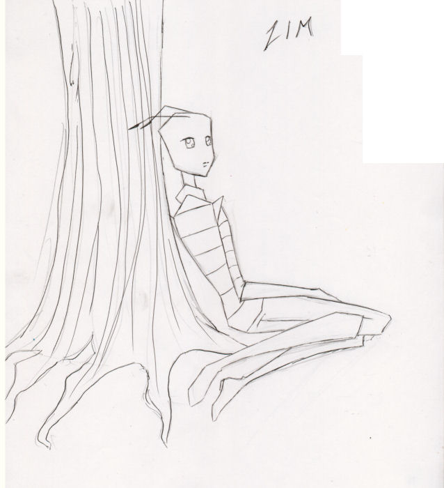 Zim