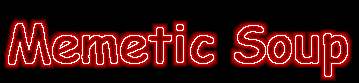 Memetic Soup