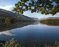 Loch Arkaig