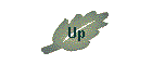 Up