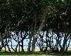 Fisher Beachhead (2003)