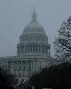 Capitol Dome (2004)