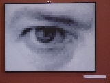 The Singer II (1999)