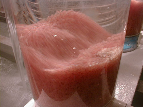 eggtumbler.jpg (39869 bytes)