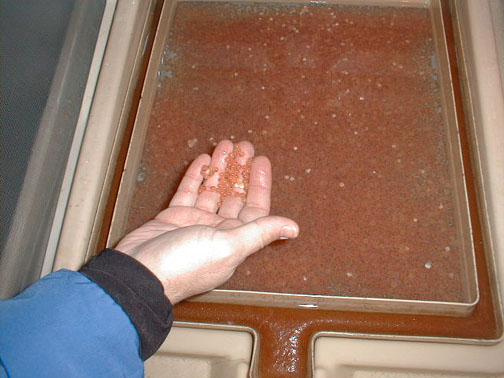 handandeggs.jpg (50639 bytes)