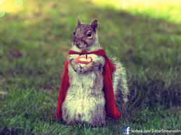 Ant_Tossing_Super-Squirrel