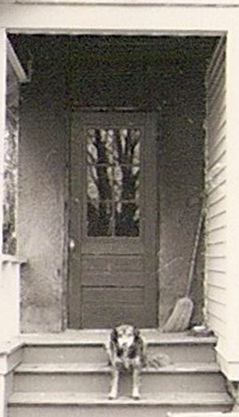 Nyack_prs_1_2_26.jpg
