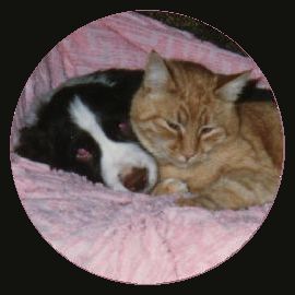 Bedtime Buddies