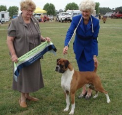 Justin wins Best In Show under Mrs C Roberts, NSW
