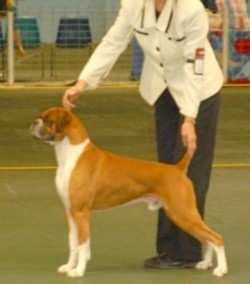 Justin wins BOG under Mr G Kerr Queensland