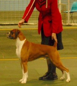 Justin wins BOG under Mrs L Harwood Victoria