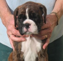  Emily Jane 6 weeks