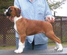 Lexi's daughter - Emma 9wks