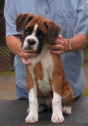 Emma 9wks