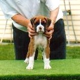 Justin at 6wks