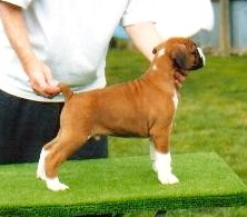 Justin at 6wks
