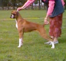 Hannah