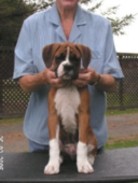 Hunter 12 weeks