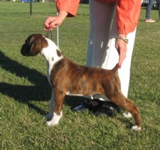 James at 13 weeks