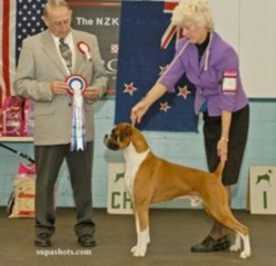 Justin wins Reserve In Show