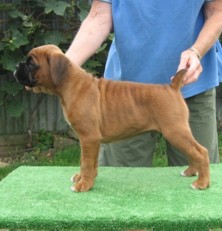 Lennox