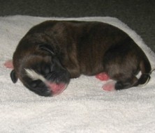 Emma's baby 3 days old December 2008