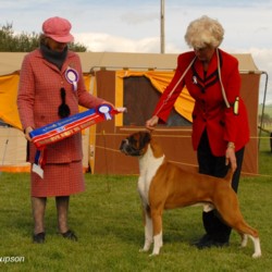 Reserve Best In Show under Mrs S Sutherland