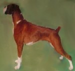 Ch. 

Glenmorne Raisin Kane