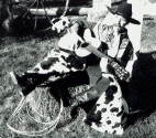 Wilbur Whippersnapper