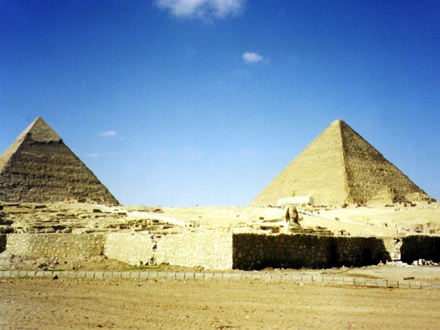 camel