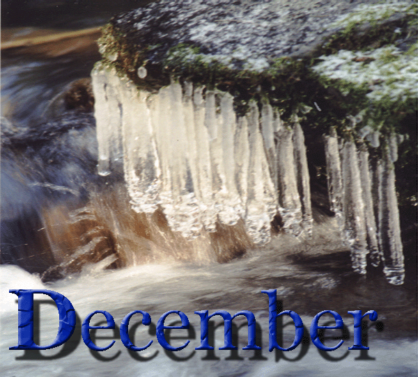 Icicles At Susan Creek