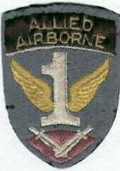1st Allied Airborne Army Patch