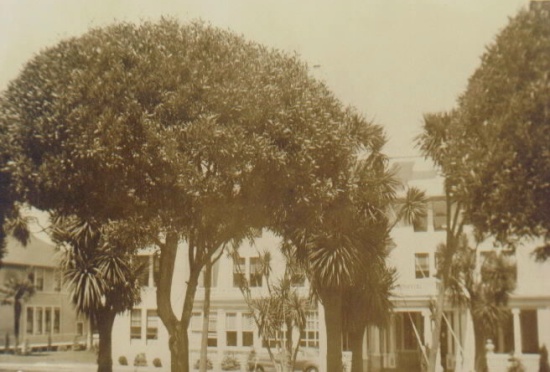 Hammond Gen. Hosp. Modesto CA