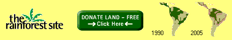 Click Here to save the Rainforest for free!!