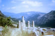 The Oracle of Delphi