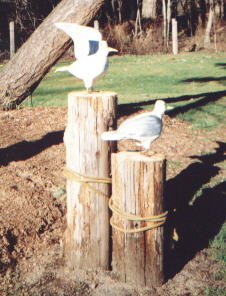 seagulls carvings by thea