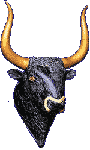 This is a picture of a bull of greece