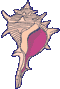 This is the purpleshell in greece