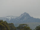 mountolypus
