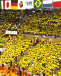Sea of yellow - Brazilian fans