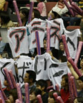 Japanese fans