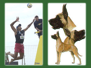75 cm Vertical jump off the sand