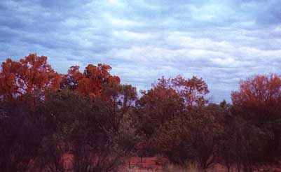 ac-kc-sunset1.jpg (15689 bytes)